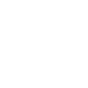 Steiners Equipment Sales and Rental